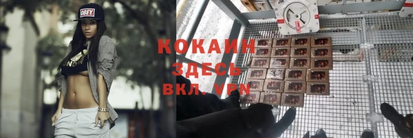ALPHA-PVP Карталы