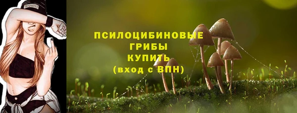 а пвп мука Карпинск