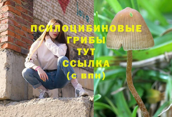 а пвп мука Карпинск
