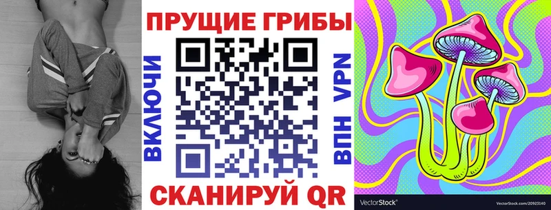 Купить закладки  Новопавловск  Галлюциногенные грибы MAGIC MUSHROOMS 